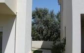 Туры в отель Alkistis Hotel