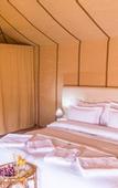 Туры в отель Saharian Luxury Camp