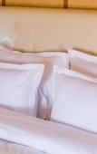 Туры в отель Saharian Luxury Camp