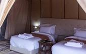 Туры в отель Saharian Luxury Camp