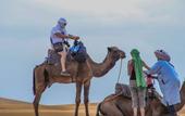 Туры в отель Saharian Luxury Camp