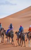 Туры в отель Saharian Luxury Camp