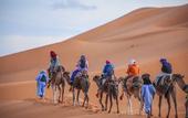 Туры в отель Saharian Luxury Camp