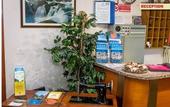 Туры в отель Albergo Parigi