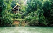Туры в отель Our Jungle Camp - Eco Resort