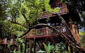 Туры в отель Our Jungle Camp - Eco Resort