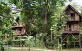 Туры в отель Our Jungle Camp - Eco Resort