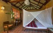 Туры в отель Our Jungle Camp - Eco Resort
