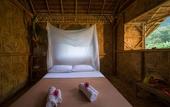 Туры в отель Our Jungle Camp - Eco Resort