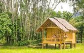 Туры в отель Our Jungle Camp - Eco Resort