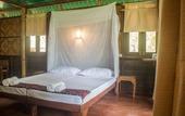 Туры в отель Our Jungle Camp - Eco Resort