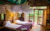 Туры в отель Our Jungle Camp - Eco Resort