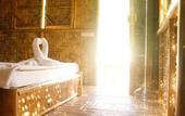 Туры в отель Our Jungle Camp - Eco Resort