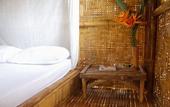 Туры в отель Our Jungle Camp - Eco Resort