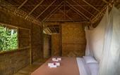 Туры в отель Our Jungle Camp - Eco Resort