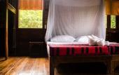 Туры в отель Our Jungle Camp - Eco Resort