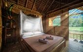 Туры в отель Our Jungle Camp - Eco Resort