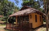 Туры в отель Our Jungle Camp - Eco Resort