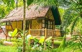 Туры в отель Our Jungle Camp - Eco Resort