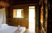 Туры в отель Our Jungle Camp - Eco Resort