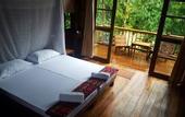 Туры в отель Our Jungle Camp - Eco Resort