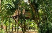 Туры в отель Our Jungle Camp - Eco Resort