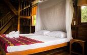 Туры в отель Our Jungle Camp - Eco Resort