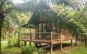Туры в отель Our Jungle Camp - Eco Resort