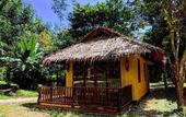 Туры в отель Our Jungle Camp - Eco Resort