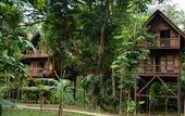 Туры в отель Our Jungle Camp - Eco Resort