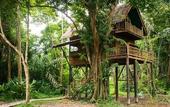Туры в отель Our Jungle Camp - Eco Resort