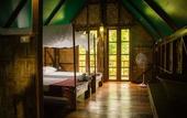 Туры в отель Our Jungle Camp - Eco Resort