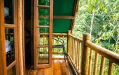 Туры в отель Our Jungle Camp - Eco Resort