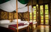 Туры в отель Our Jungle Camp - Eco Resort
