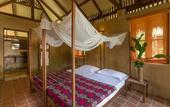 Туры в отель Our Jungle Camp - Eco Resort