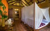Туры в отель Our Jungle Camp - Eco Resort
