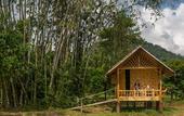 Туры в отель Our Jungle Camp - Eco Resort