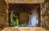 Туры в отель Our Jungle Camp - Eco Resort