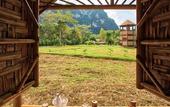Туры в отель Our Jungle Camp - Eco Resort