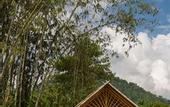 Туры в отель Our Jungle Camp - Eco Resort