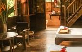 Туры в отель Our Jungle Camp - Eco Resort