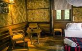 Туры в отель Our Jungle Camp - Eco Resort