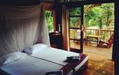 Туры в отель Our Jungle Camp - Eco Resort