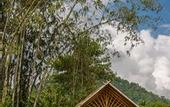 Туры в отель Our Jungle Camp - Eco Resort