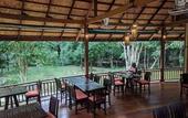Туры в отель Our Jungle Camp - Eco Resort