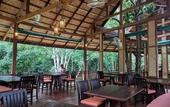 Туры в отель Our Jungle Camp - Eco Resort