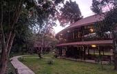 Туры в отель Our Jungle Camp - Eco Resort