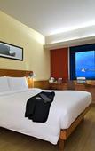 Туры в отель ibis Pune Hinjewadi Hotel