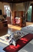 Туры в отель Chez Loan Hotel