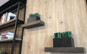 Туры в отель Nest Hotel Hakata Station
